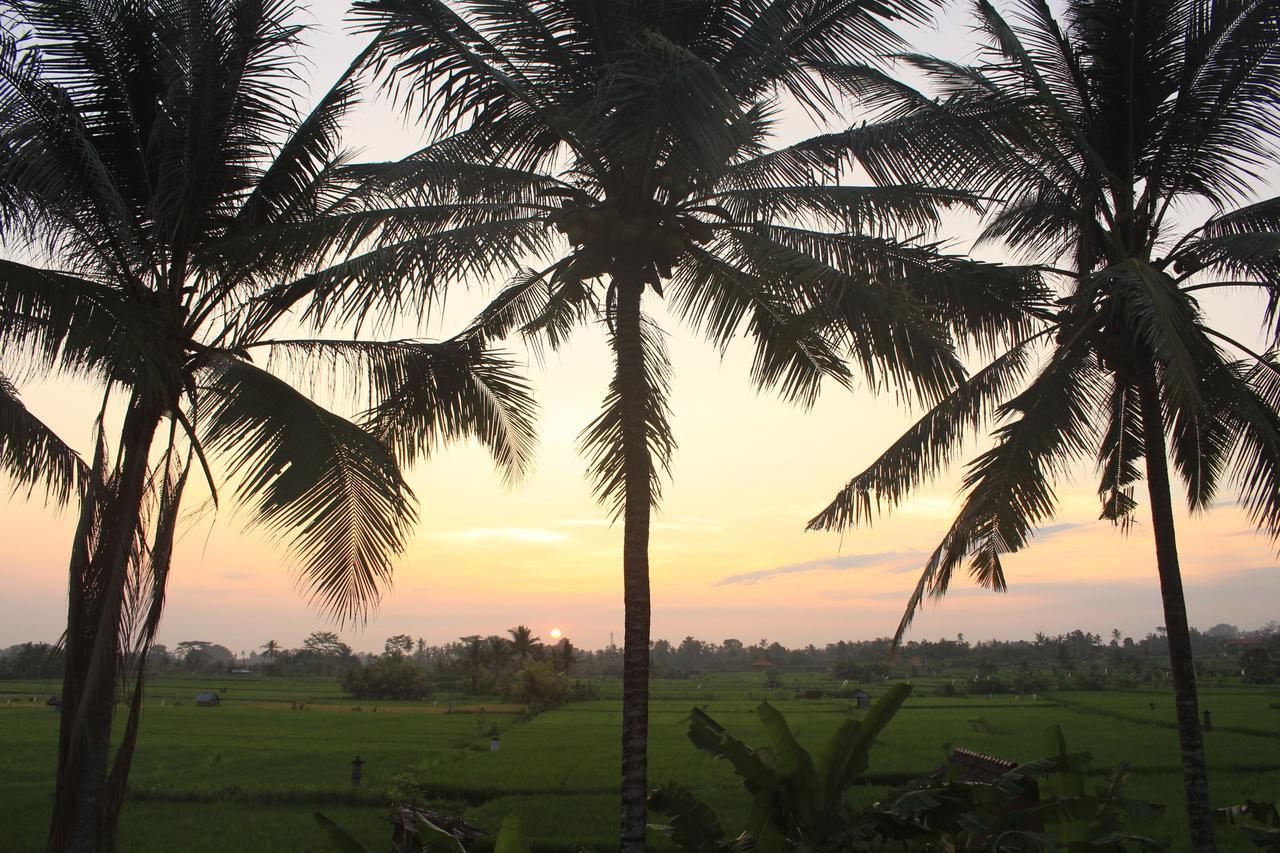 Uma Capung Mas Cottage Ubud  Exterior photo